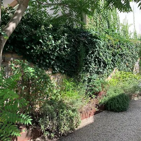 Natural Suite En Centre Ville Avec Spa Et Jardin Dijon Exterior photo
