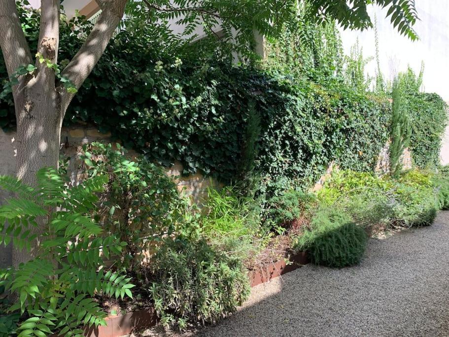 Apartamento Natural En Centre Avec Et Jardin